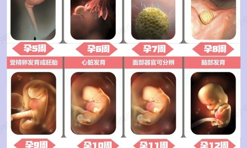 孕妇感冒了可以吃中药不网 - 网站提供孕妇感冒了可以打针输液吗小常识、孕妇感冒了能吃药吗有影响吗