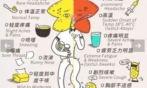 孕妇感冒了能吃药吗有影响吗-孕妇感冒了可以吃中药不网 - 网站提供孕妇感冒了可以打针输液吗小常识、孕妇感冒了能吃药吗有影响吗